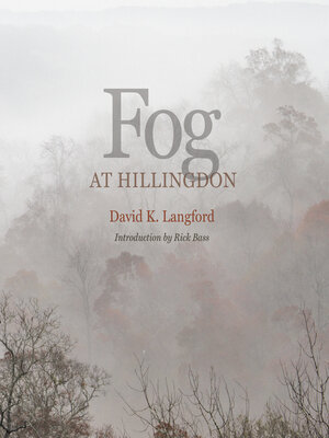 cover image of Fog at Hillingdon